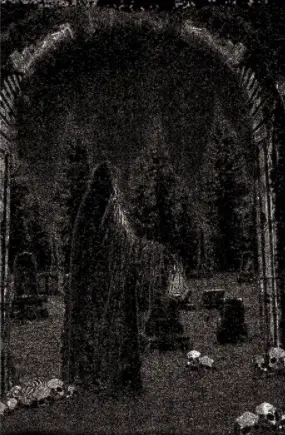 Wampyric Rites : The Misanthropic Songs of an Unholy Spirit